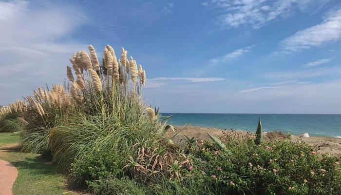 Casa de férias Three Bedroom Townhouse 100 Meters From The Beach! *