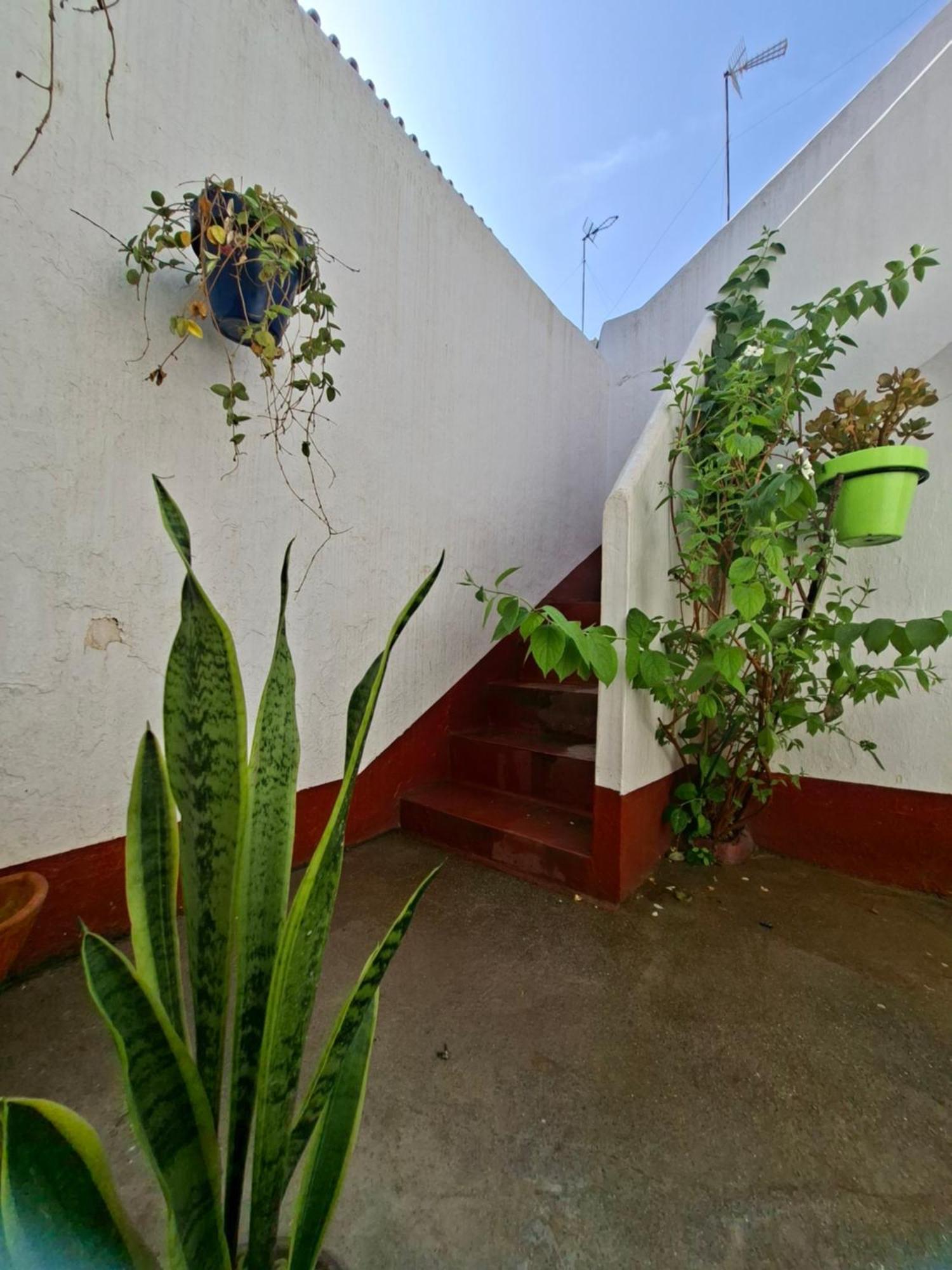 Avos Casa de férias
