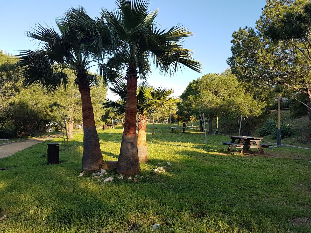 Jabeque * Estepona