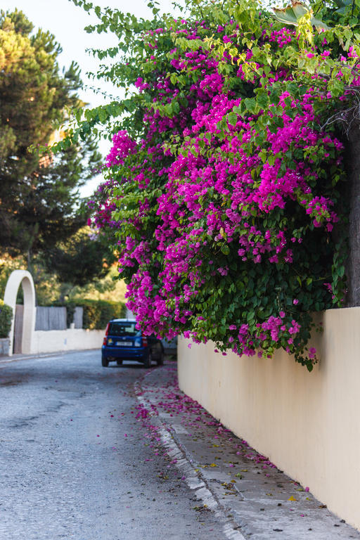 Sechi Marbella Hotel 3*