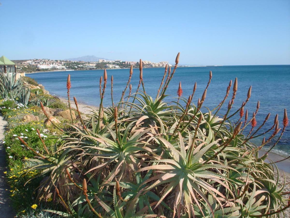 Costa Natura 602 Appartement Estepona