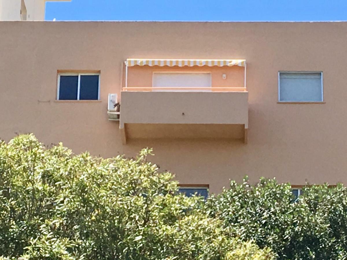 Apartment Sierra Morena 8