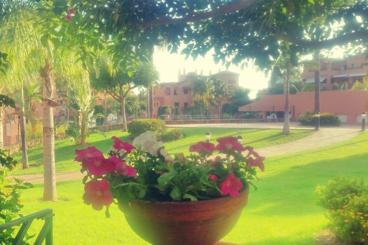 Hacienda Del Sol Deluxe Beachside Apartment